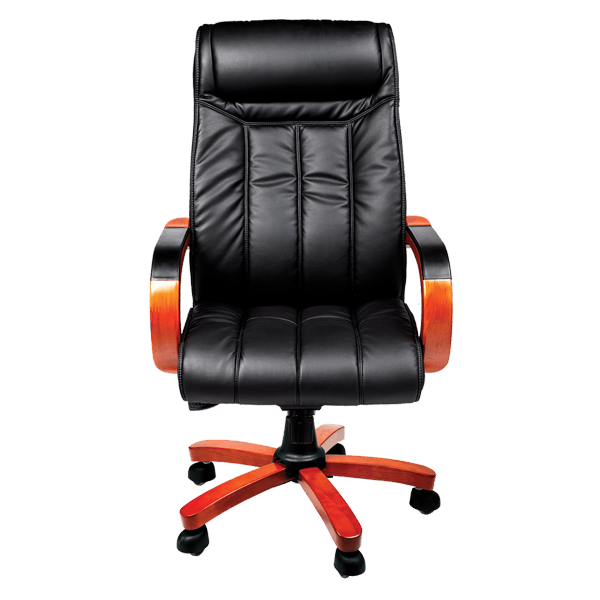 صندلی کد T 35-80 مدیریتی فوم دار - Thumbnail 1